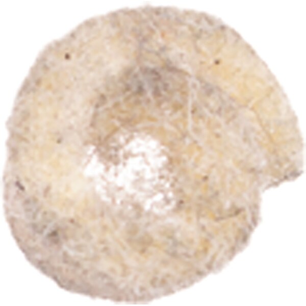 BrassCraft® Fiber Diverter Washer