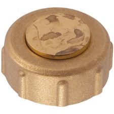 Zurn Pex Cap