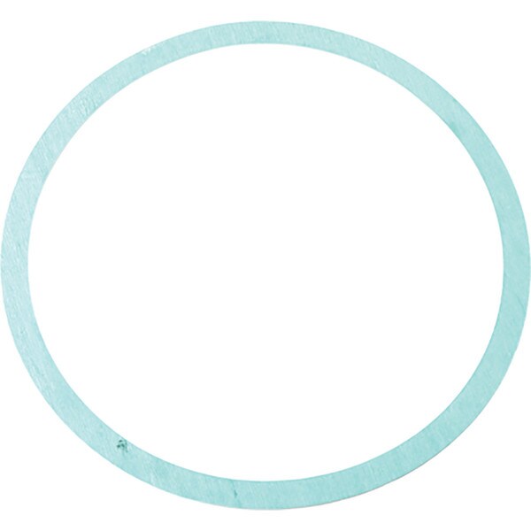 Armstrong Pumps Casing Gasket - 10"