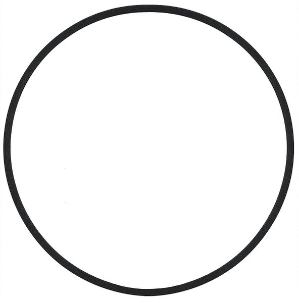 Bell & Gossett Volute Gasket For B