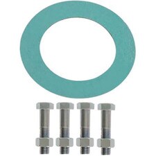 Superior Water Conditioner Companion Flange Bolt Kit & Gasket - 4"