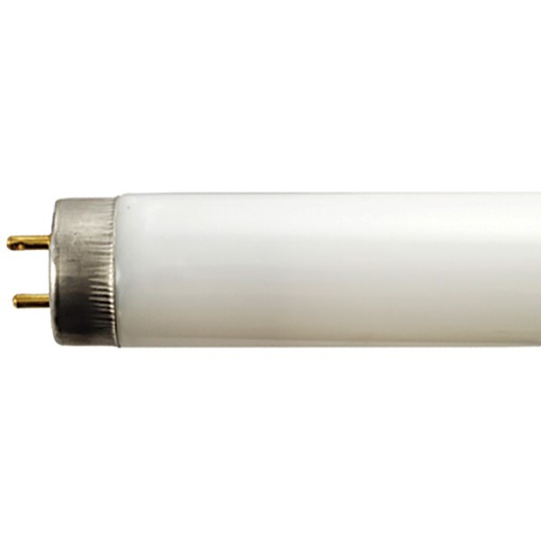 Westinghouse T-8 Medium Bi-Pin Fluorescent Tube