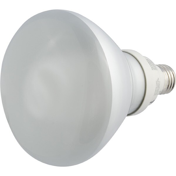 Westinghouse R-40 Flood Light Bulb
