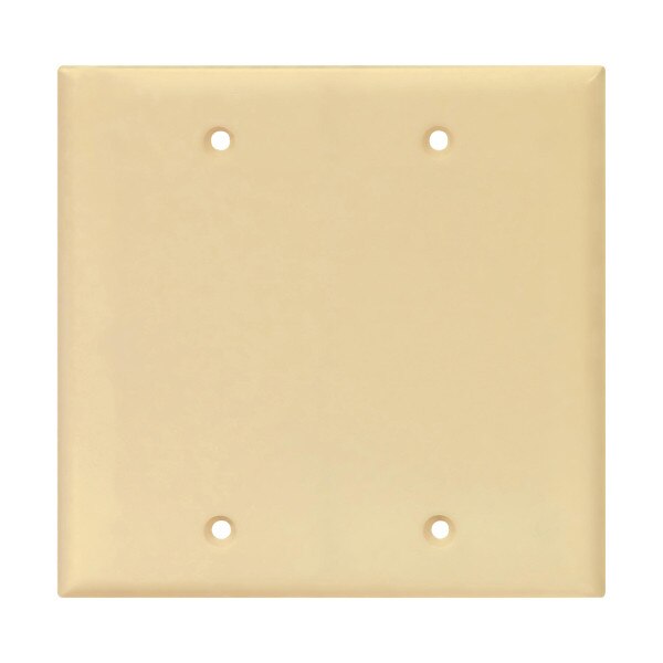 Eaton Blank wallplate, Box mount, Ivory, Blank Cutout, Polycarbonate, Two- gang, Mid-size